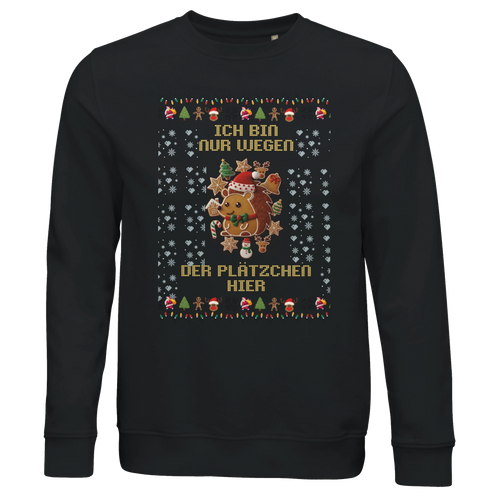 Spin | Unisex Bio-Weihnachtspullover - Christmas Collection GingerSpin